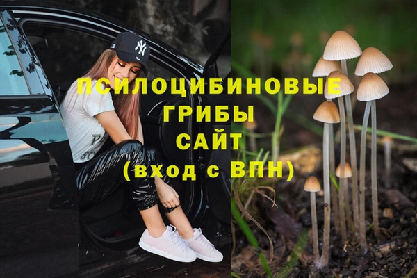 соль курить ск Инсар