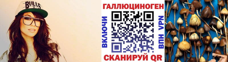 Купить  Вилюйск  Псилоцибиновые грибы мицелий 
